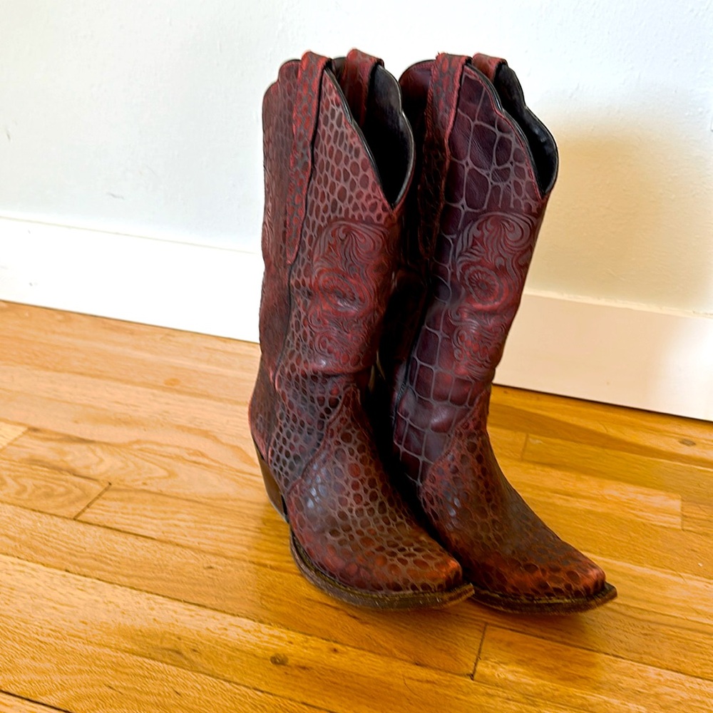 Ariat alligator boots